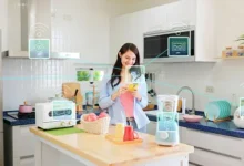 Efficient Energy Management: How to Implement IoT in Your Home In 2024