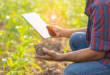 Smart Agriculture: A Farmer's Guide to IoT Solutions In 2024