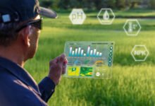 How to Choose the Best IoT Sensors: Tips for Smart Decision-Making