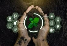 IoT in der Landwirtschaft