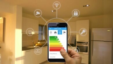 Energy Efficiency and Smart Homes
