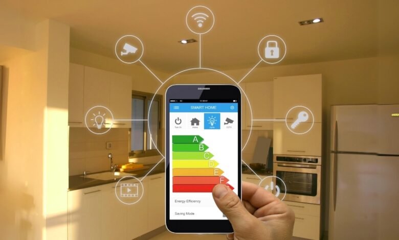 Energy Efficiency and Smart Homes